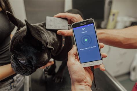 can you track your rfid chipped pet|how to track a pet.